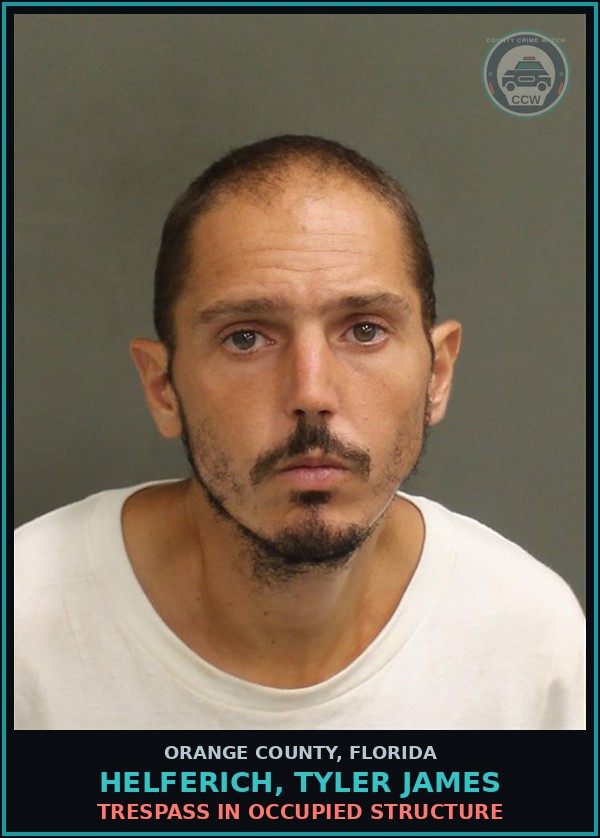 Booking mugshot of HELFERICH, TYLER JAMES in Orange County