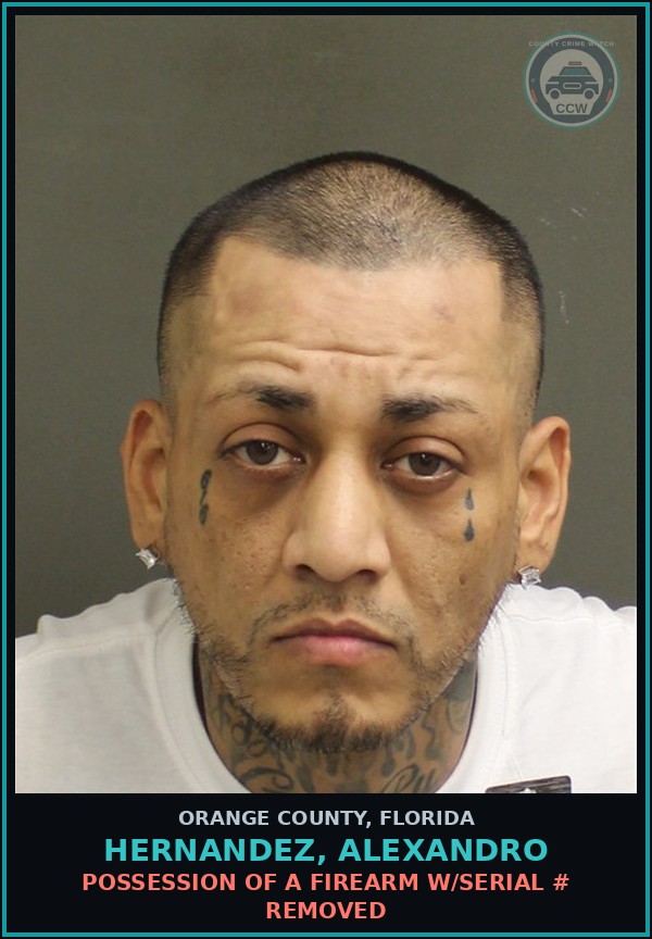 Booking mugshot of HERNANDEZ, ALEXANDRO in Orange County
