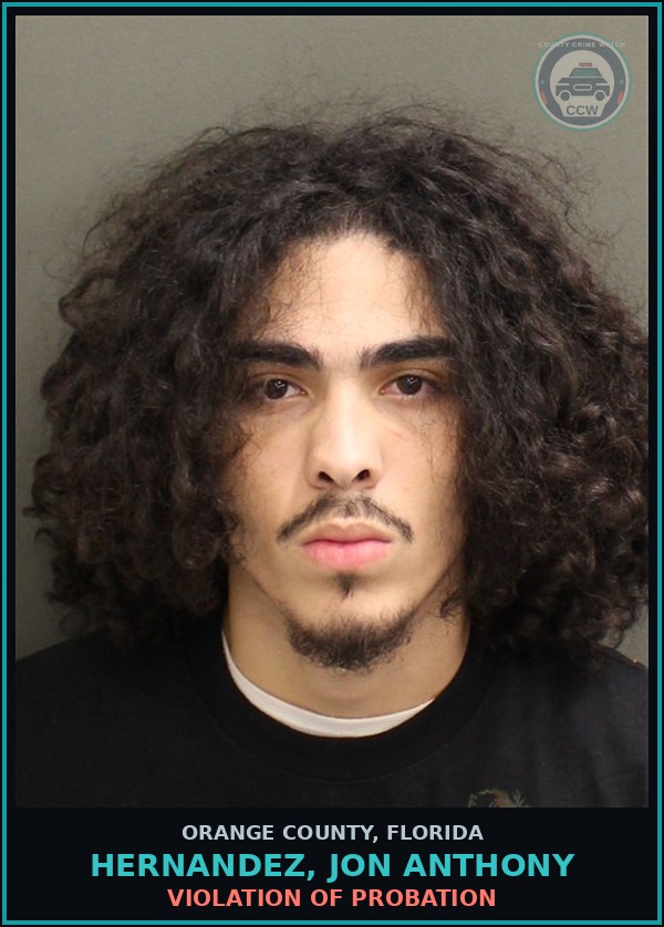 Booking mugshot of HERNANDEZ, JON ANTHONY in Orange County