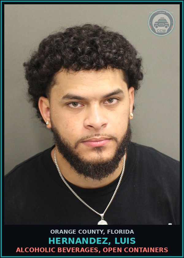 Booking mugshot of HERNANDEZ, LUIS in Orange County