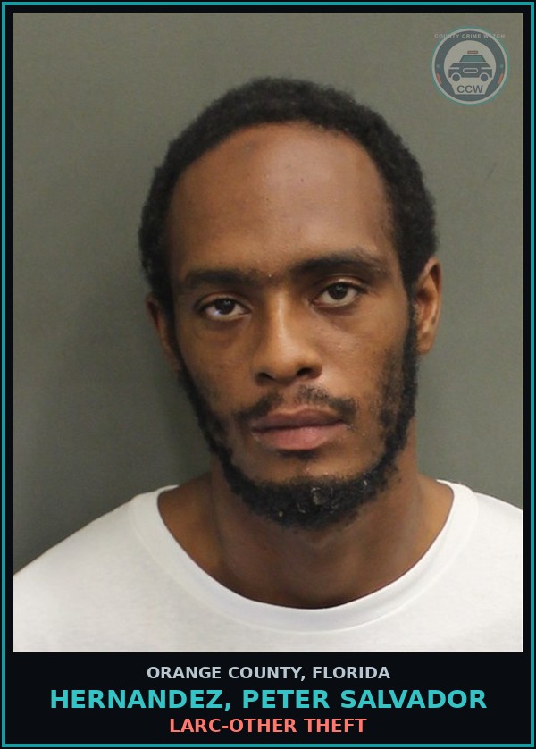 Booking mugshot of HERNANDEZ, PETER SALVADOR in Orange County