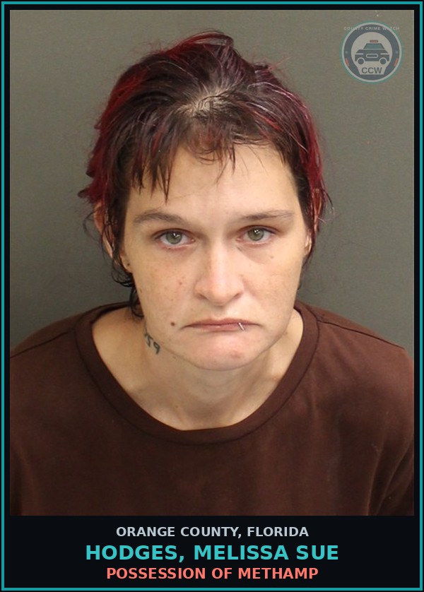 Booking mugshot of HODGES, MELISSA SUE in Orange County