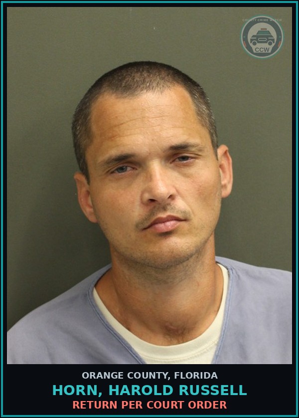 Booking mugshot of HORN, HAROLD RUSSELL in Orange County