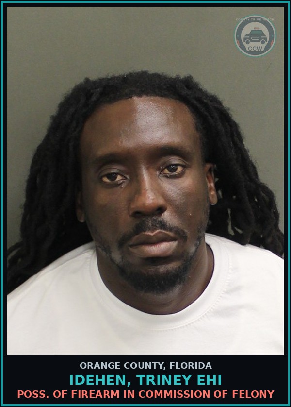 Booking mugshot of IDEHEN, TRINEY EHI in Orange County