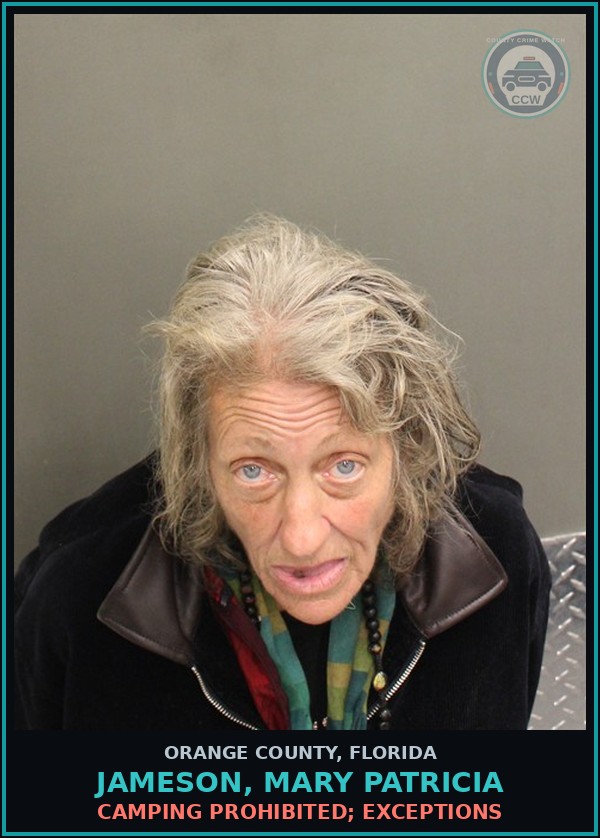 Booking mugshot of JAMESON, MARY PATRICIA in Orange County