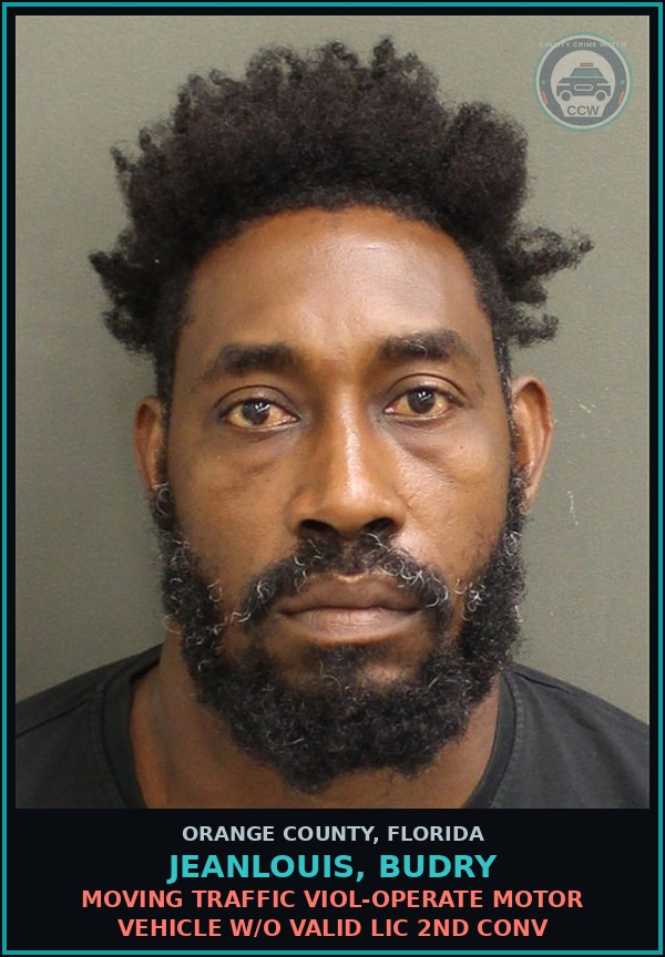 Booking mugshot of JEANLOUIS, BUDRY in Orange County