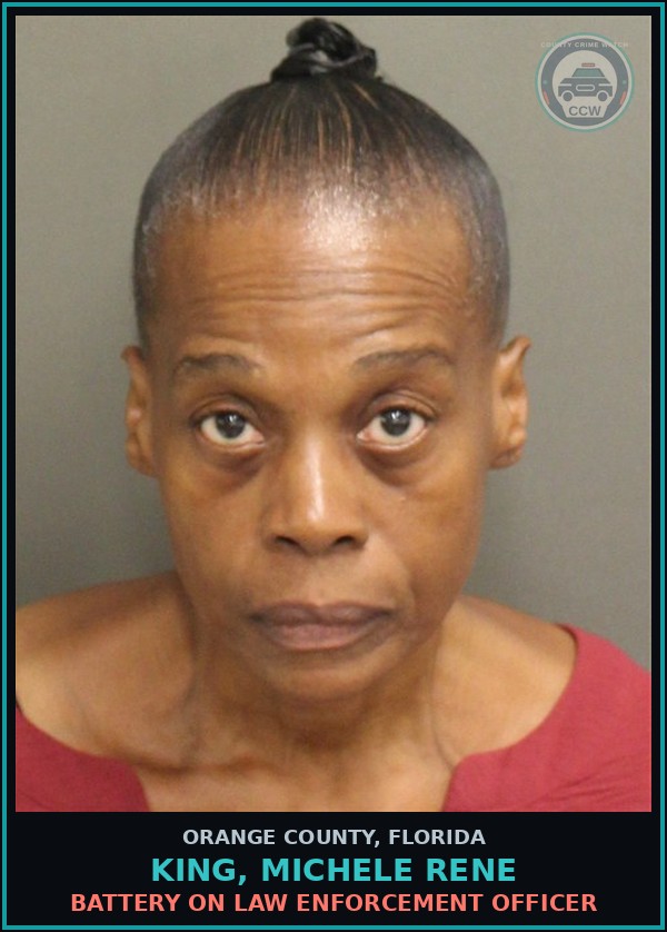 Booking mugshot of KING, MICHELE RENE in Orange County