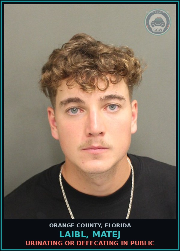 Booking mugshot of LAIBL, MATEJ in Orange County