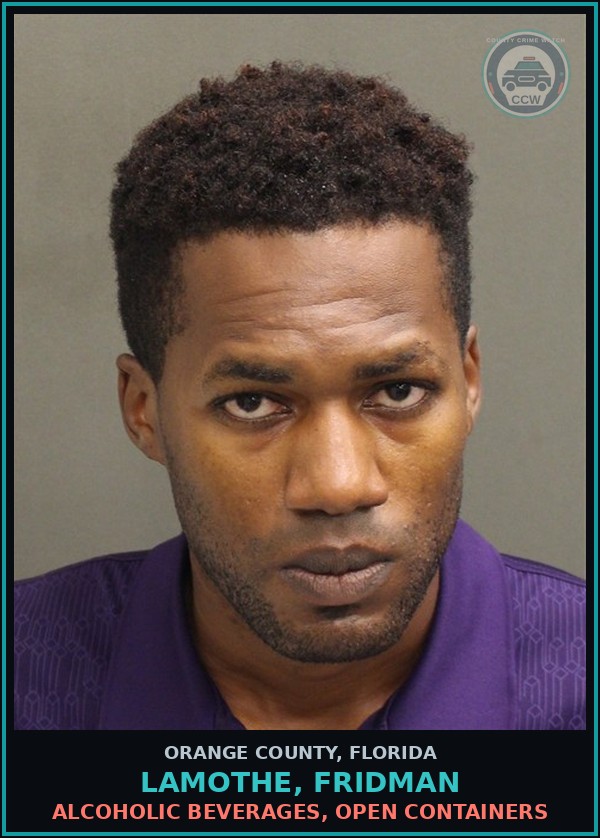 Booking mugshot of LAMOTHE, FRIDMAN in Orange County