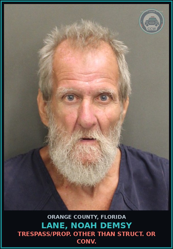Booking mugshot of LANE, NOAH DEMSY in Orange County