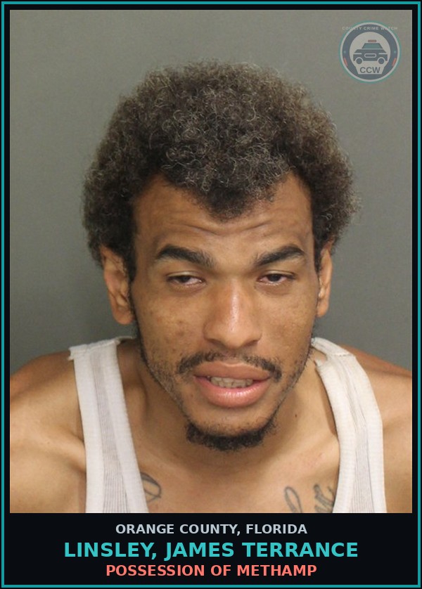 Booking mugshot of LINSLEY, JAMES TERRANCE in Orange County