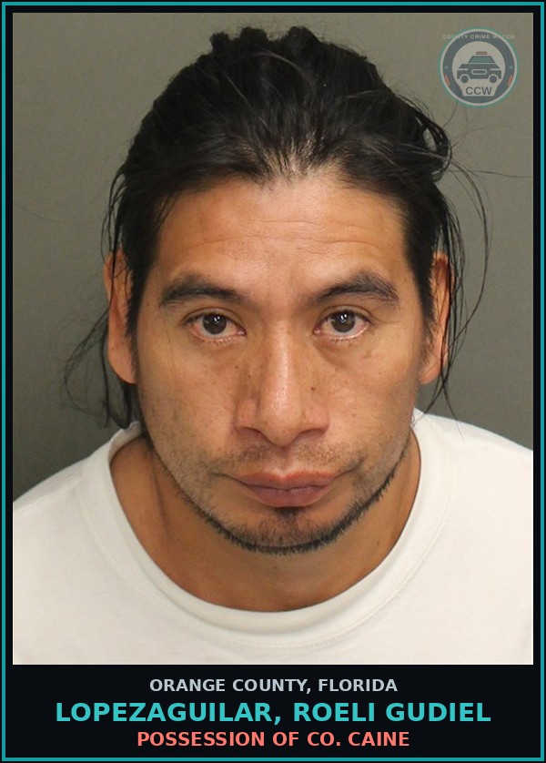 Booking mugshot of LOPEZAGUILAR, ROELI GUDIEL in Orange County
