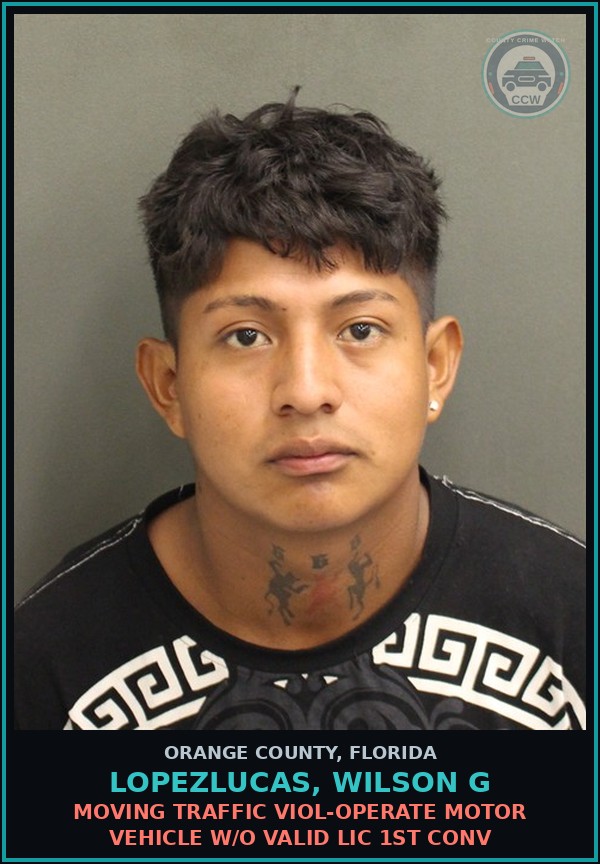 Booking mugshot of LOPEZLUCAS, WILSON G in Orange County