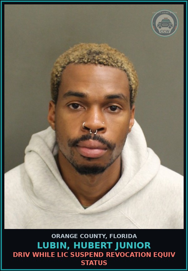 Booking mugshot of LUBIN, HUBERT JUNIOR in Orange County