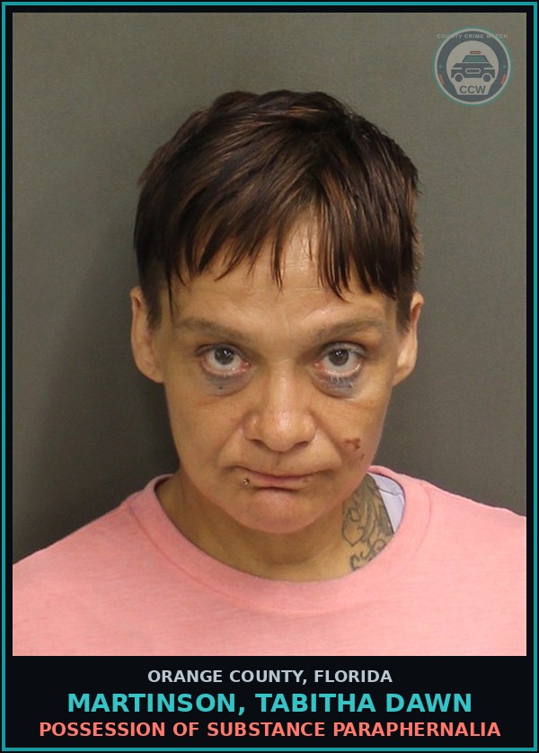 Booking mugshot of MARTINSON, TABITHA DAWN in Orange County