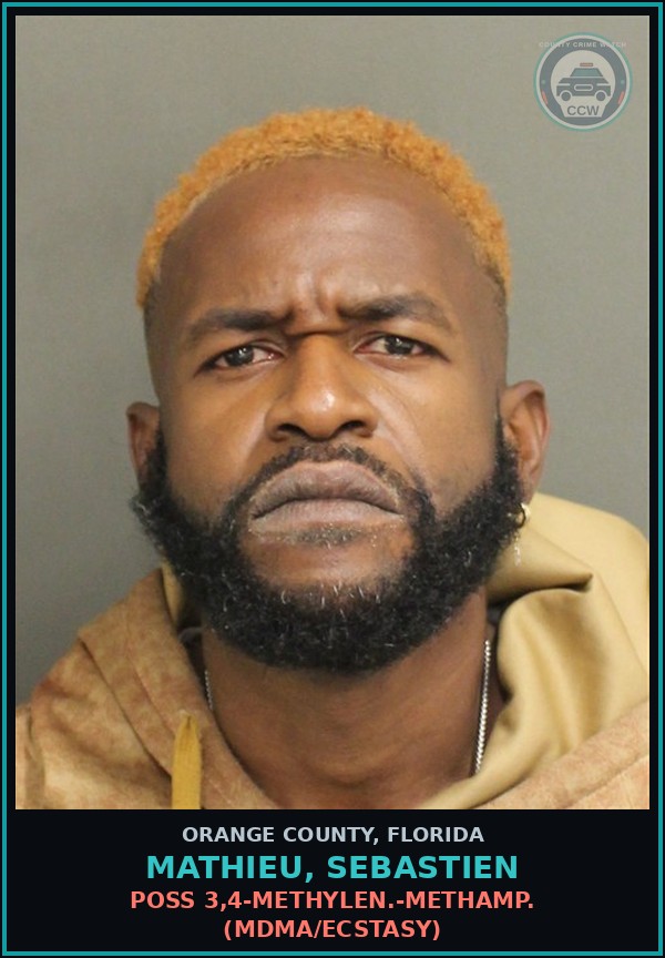 Booking mugshot of MATHIEU, SEBASTIEN in Orange County