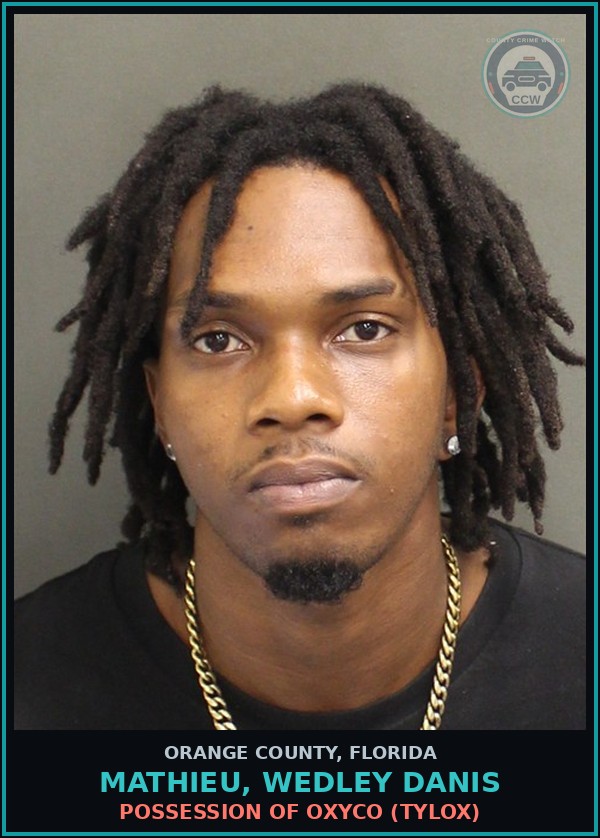 Booking mugshot of MATHIEU, WEDLEY DANIS in Orange County