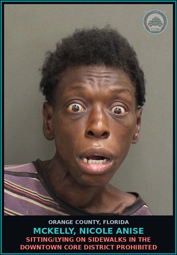 Booking mugshot of MCKELLY, NICOLE ANISE in Orange County
