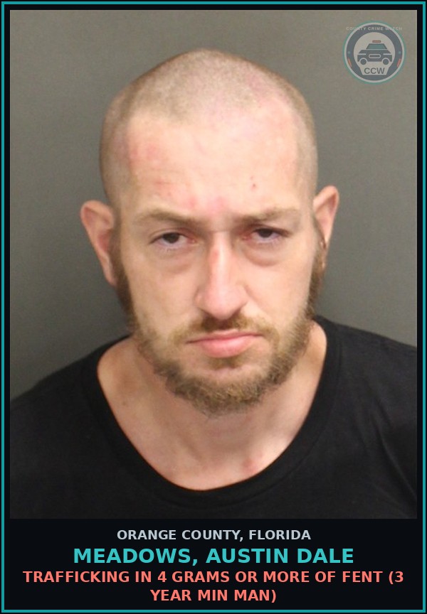 Booking mugshot of MEADOWS, AUSTIN DALE in Orange County
