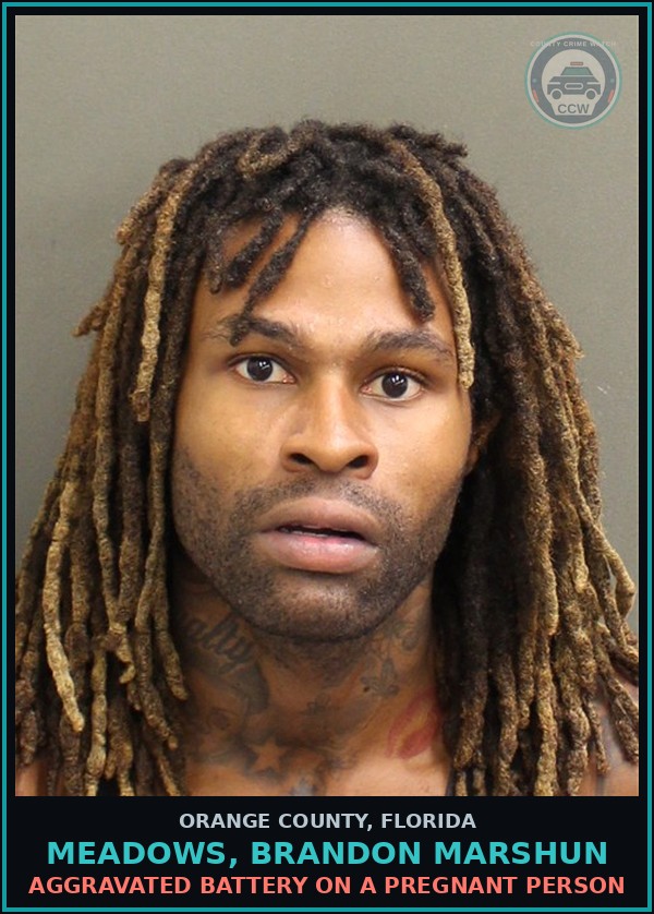 Booking mugshot of MEADOWS, BRANDON MARSHUN in Orange County