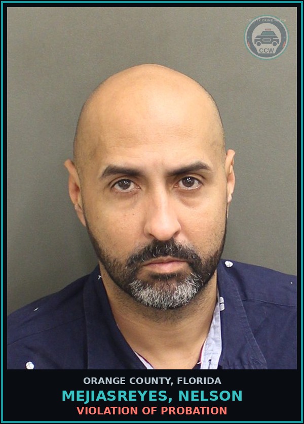 Booking mugshot of MEJIASREYES, NELSON in Orange County