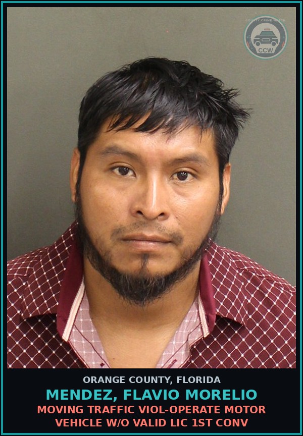 Booking mugshot of MENDEZ, FLAVIO MORELIO in Orange County