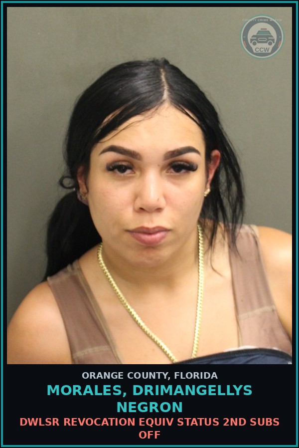 Booking mugshot of MORALES, DRIMANGELLYS NEGRON in Orange County