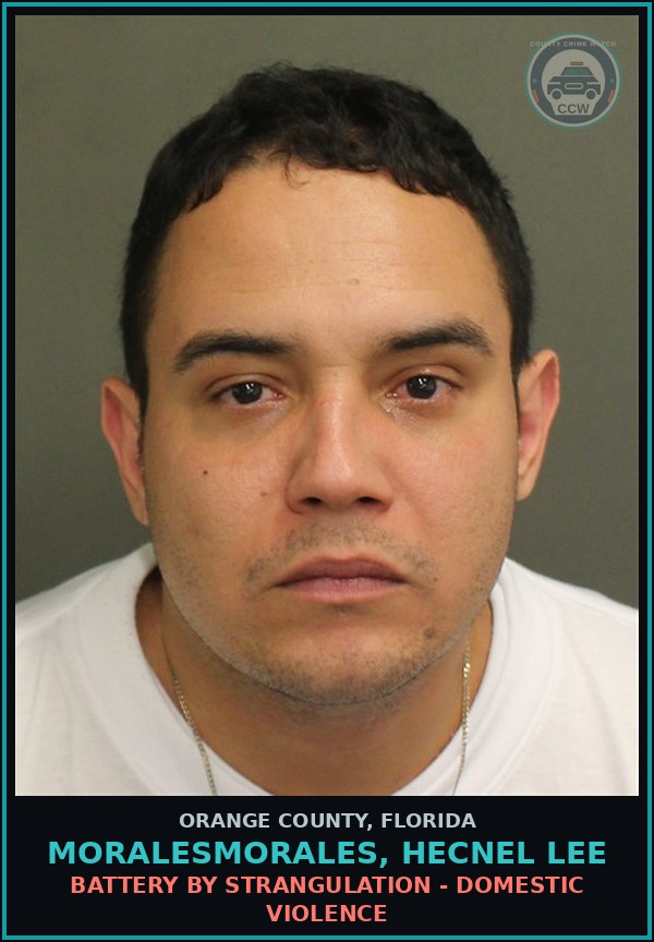 Booking mugshot of MORALESMORALES, HECNEL LEE in Orange County