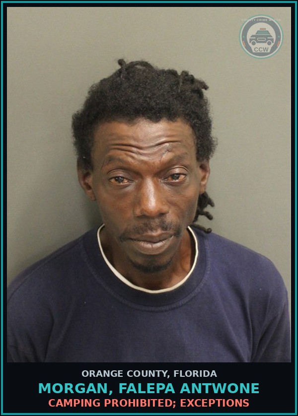 Booking mugshot of MORGAN, FALEPA ANTWONE in Orange County