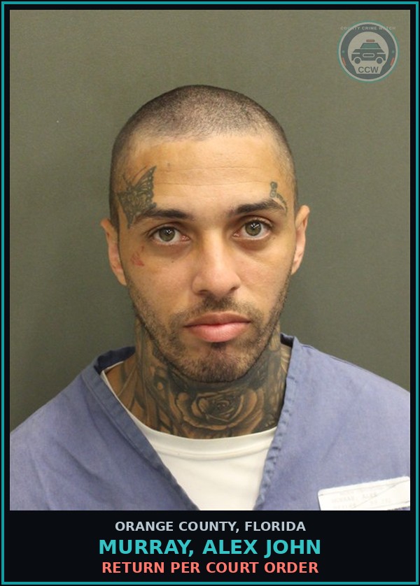 Booking mugshot of MURRAY, ALEX JOHN in Orange County
