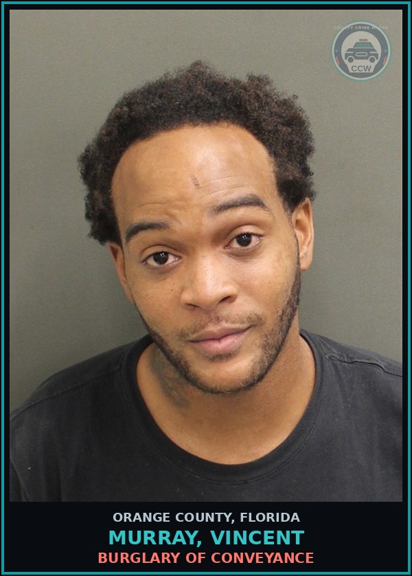 Booking mugshot of MURRAY, VINCENT in Orange County