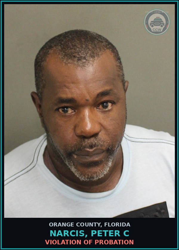 Booking mugshot of NARCIS, PETER C in Orange County