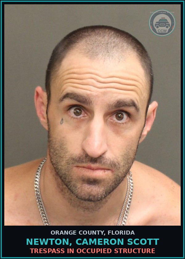 Booking mugshot of NEWTON, CAMERON SCOTT in Orange County