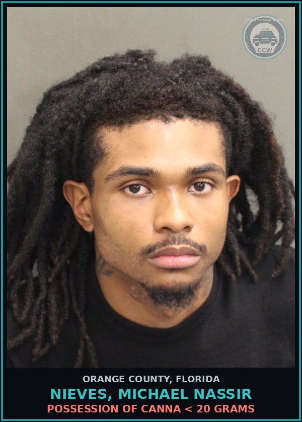 Booking mugshot of NIEVES, MICHAEL NASSIR in Orange County