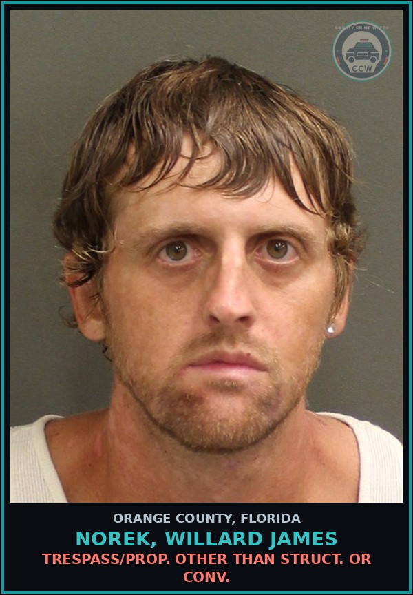 Booking mugshot of NOREK, WILLARD JAMES in Orange County