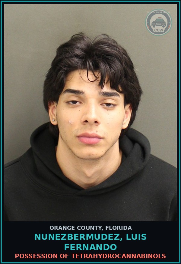 Booking mugshot of NUNEZBERMUDEZ, LUIS FERNANDO in Orange County