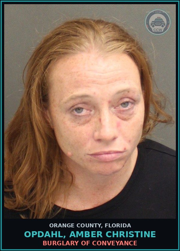Booking mugshot of OPDAHL, AMBER CHRISTINE in Orange County