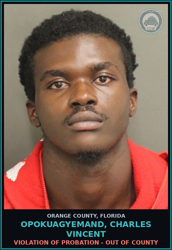 Booking mugshot of OPOKUAGYEMAND, CHARLES VINCENT in Orange County