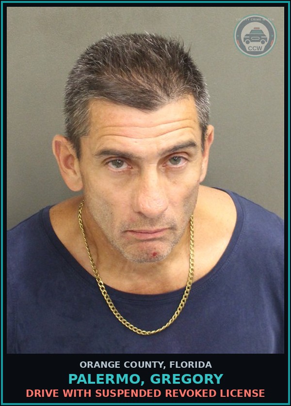 Booking mugshot of PALERMO, GREGORY in Orange County