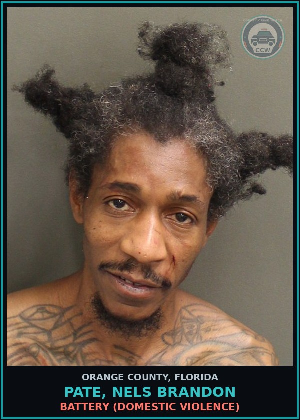 Booking mugshot of PATE, NELS BRANDON in Orange County