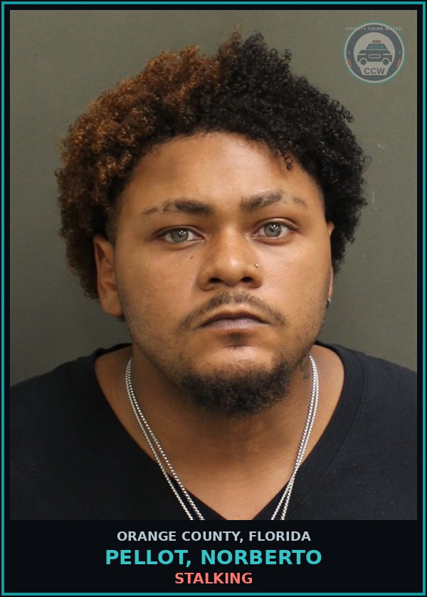 Booking mugshot of PELLOT, NORBERTO in Orange County
