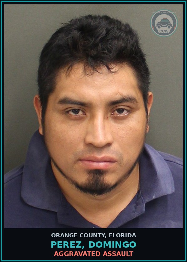 Booking mugshot of PEREZ, DOMINGO in Orange County