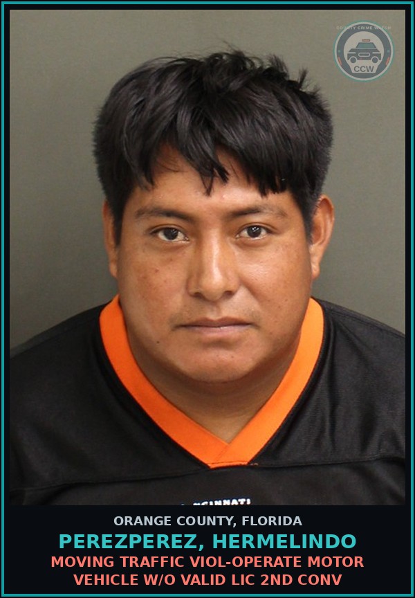 Booking mugshot of PEREZPEREZ, HERMELINDO in Orange County
