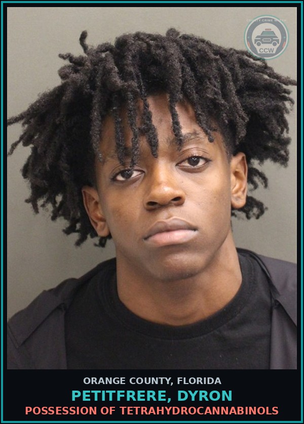 Booking mugshot of PETITFRERE, DYRON in Orange County