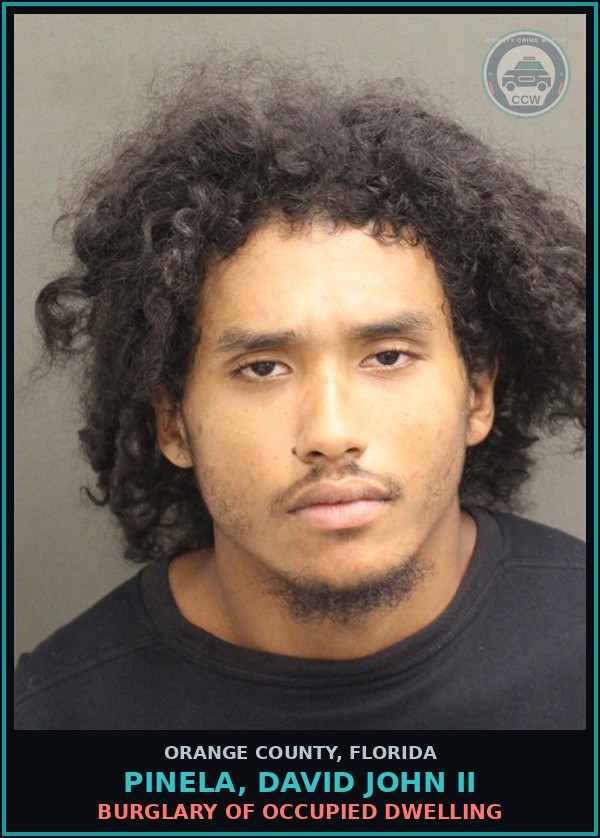 Booking mugshot of PINELA, DAVID JOHN II in Orange County