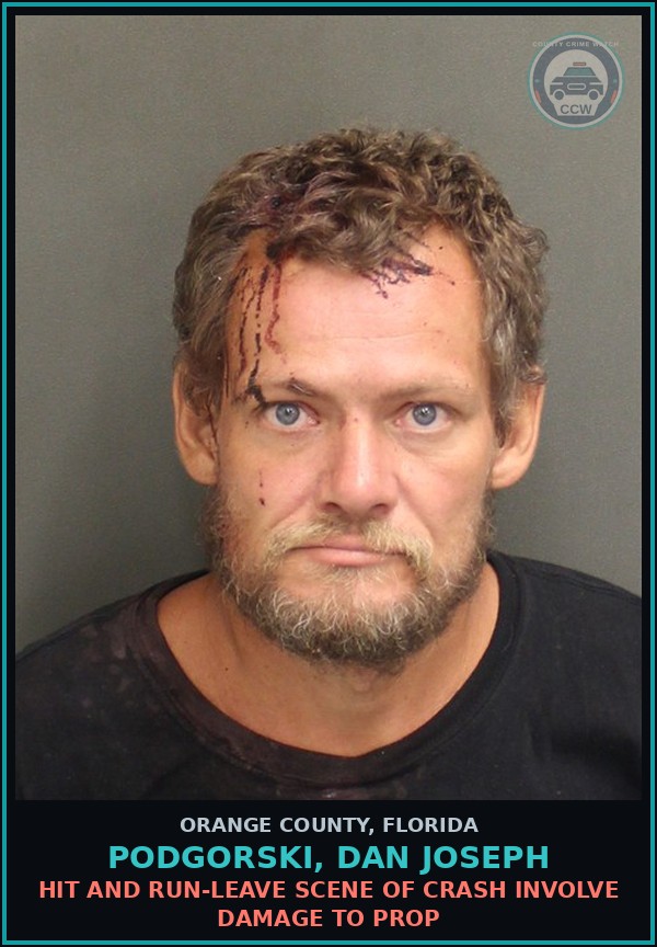Booking mugshot of PODGORSKI, DAN JOSEPH in Orange County