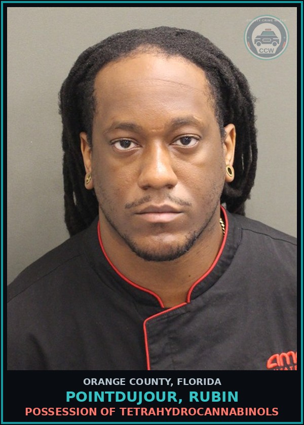 Booking mugshot of POINTDUJOUR, RUBIN in Orange County