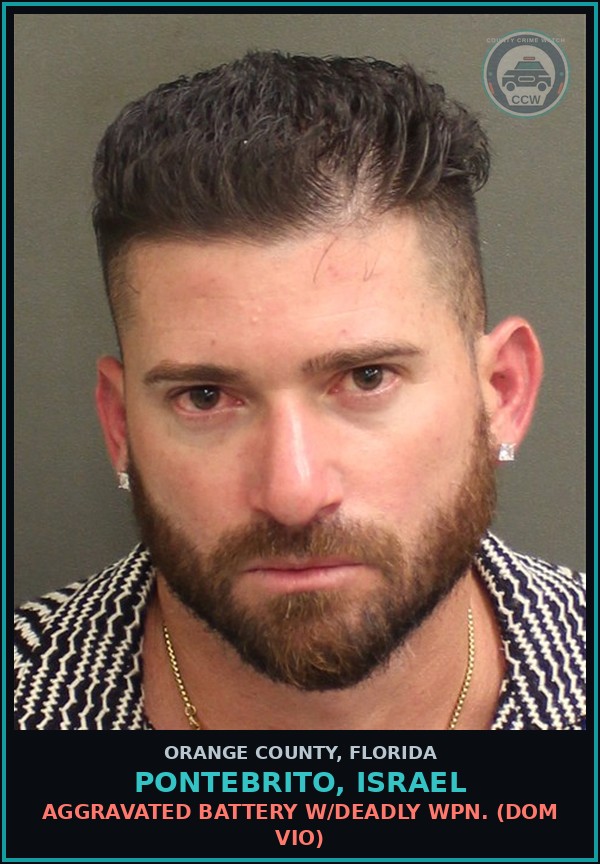 Booking mugshot of PONTEBRITO, ISRAEL in Orange County