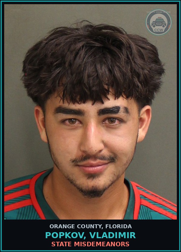 Booking mugshot of POPKOV, VLADIMIR in Orange County