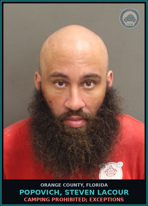 Booking mugshot of POPOVICH, STEVEN LACOUR in Orange County